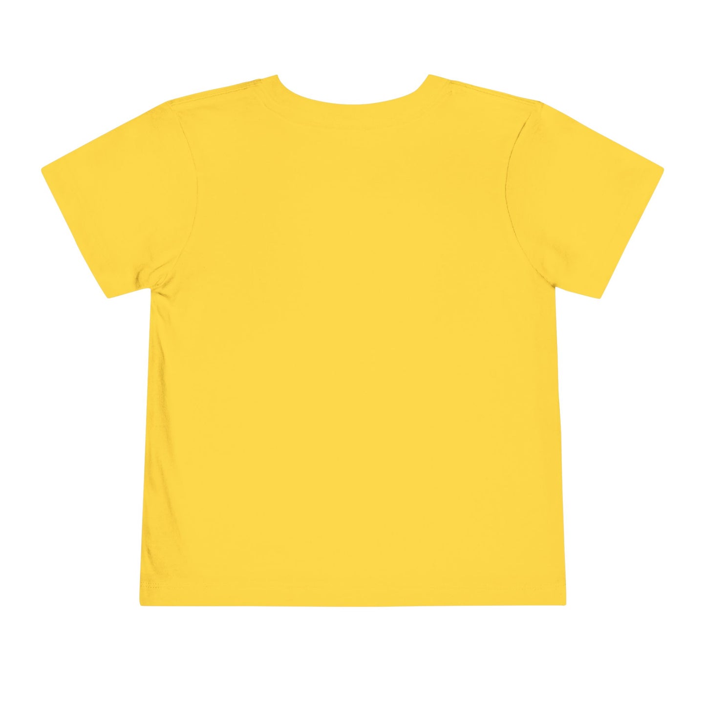 Toddler Tee - 'Be a Silly Goose' Design