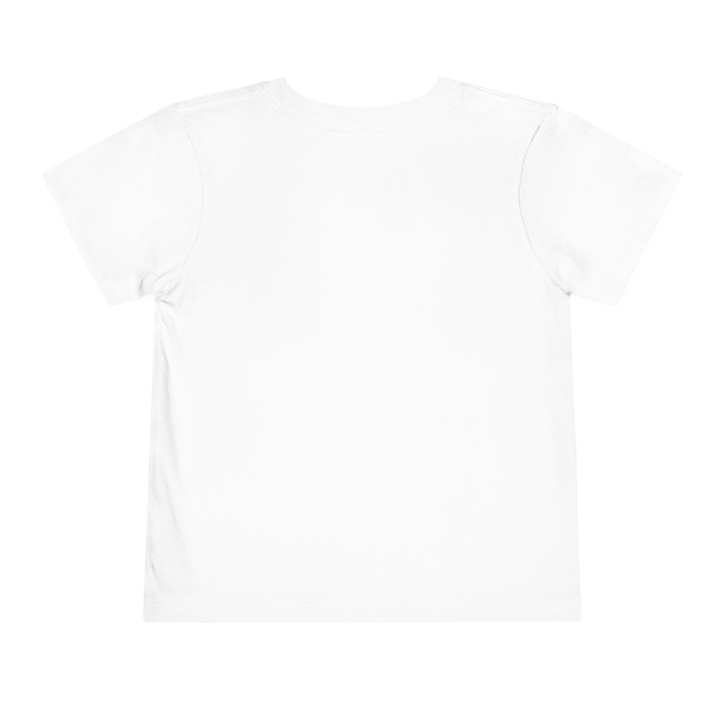 Toddler Tee - 'Be a Silly Goose' Design
