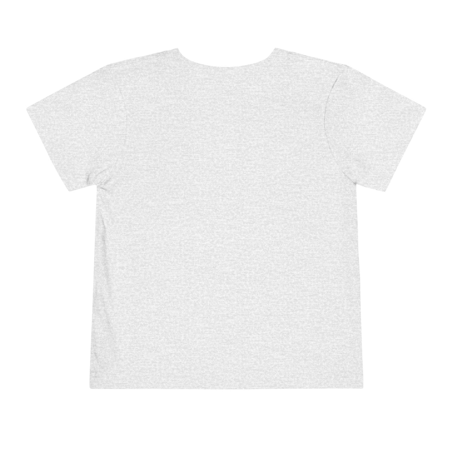 Toddler Tee - 'Be a Silly Goose' Design