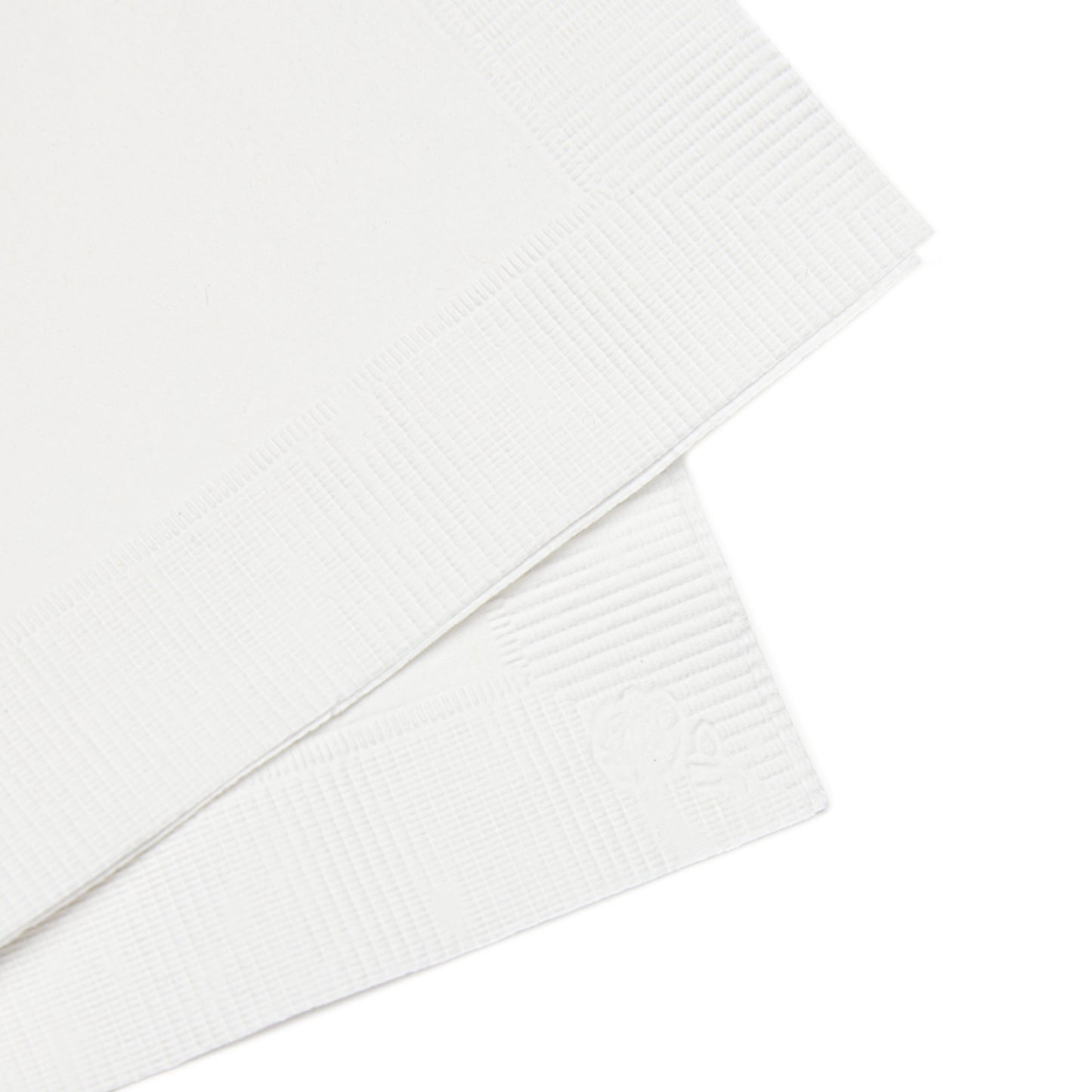 Rustic Rabbit Spring Napkin Set