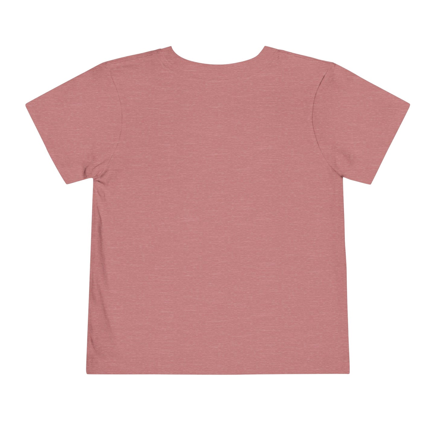 Toddler Tee - 'Be a Silly Goose' Design