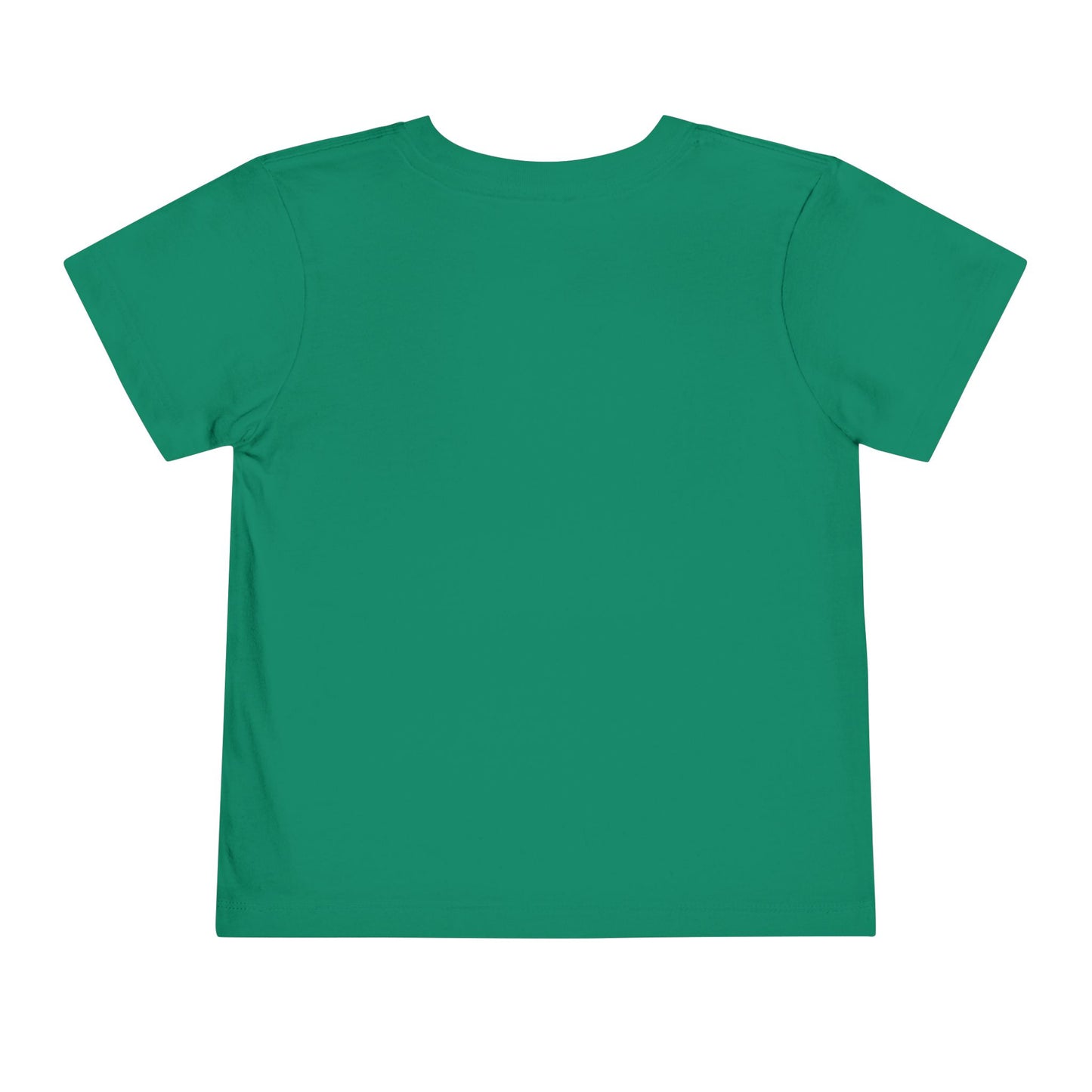 Toddler Tee - 'Be a Silly Goose' Design