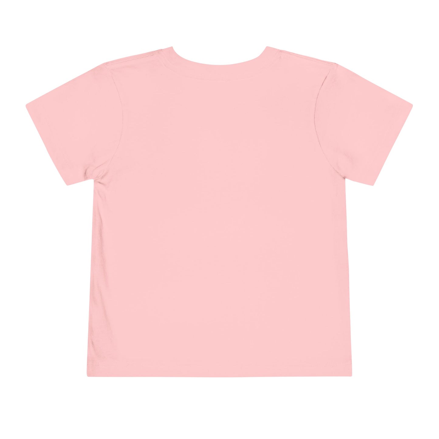 Toddler Tee - 'Be a Silly Goose' Design