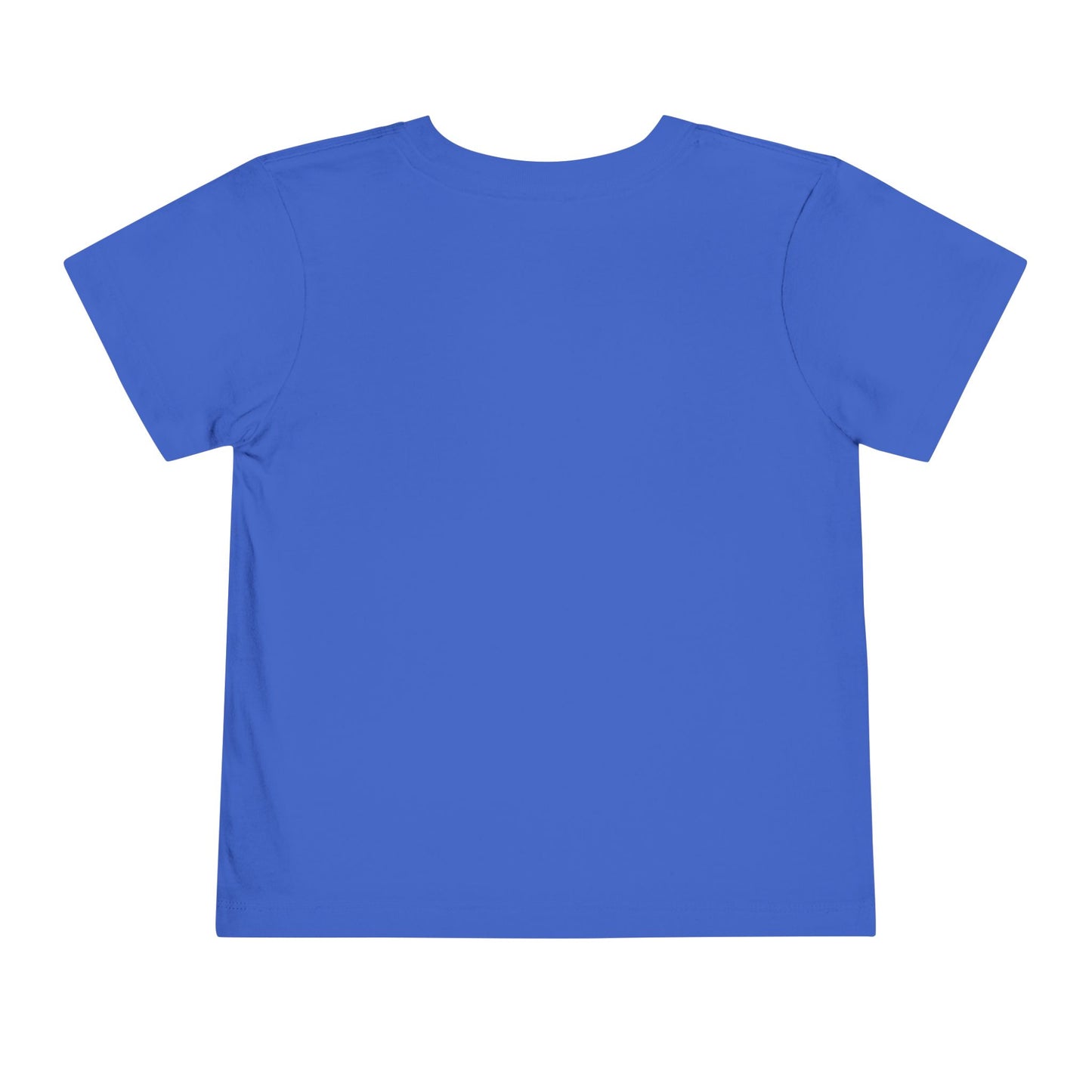 Toddler Tee - 'Be a Silly Goose' Design