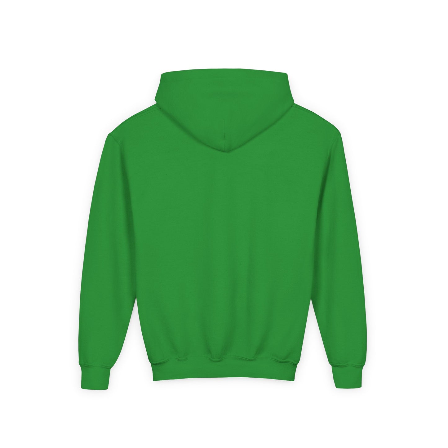 Youth Christmas Hoodie — Merry Christmas Snow Globe Dinosaur Design
